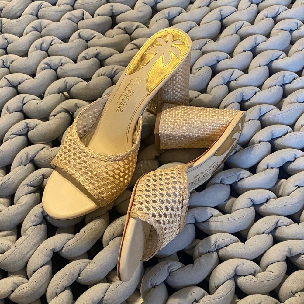 ANTONIO MELANI x The Nat Note Gold Woven Heeled Sandal